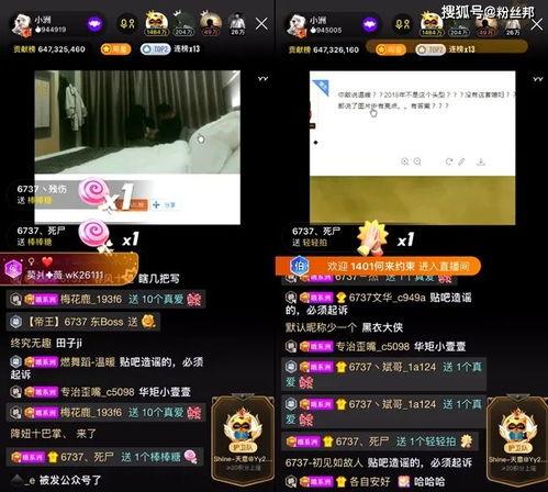 故事视频爆料大全最新,最新爆料大全精彩回顾